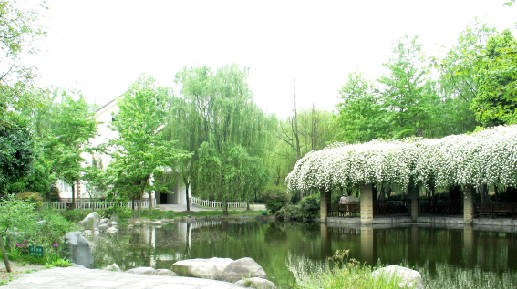 成都拓展培訓(xùn)基地